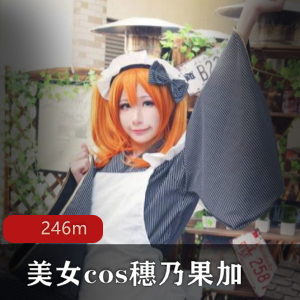穗乃果赤根京cos作品下载,美女明星退圈视频246M