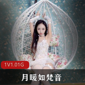 超美女神月暖如梵音社保作品：300P图片+4V视频，1.01G实战战斗力首发