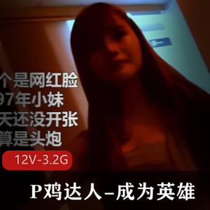 P鸡达人：12V3.2G，成为英雄，价钱200一次，良心实惠