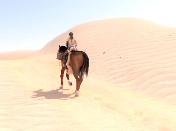 口味重，BreakingTheQuiet，静静与马，人与马，一马二人，用嘴马，啤酒瓶，棒球，棒球棍，5集，2V，5.5G