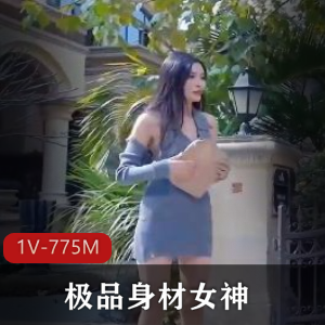 女神N子的30分钟精选作品，1V-775M，身材完美，好评如潮！