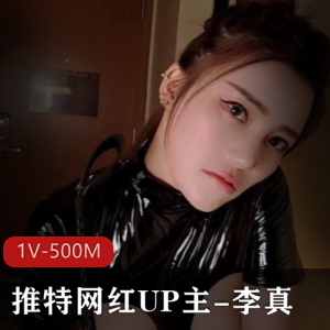 推特网红UP主李真粉丝见面战斗场面1V500M资源下载