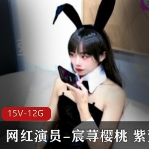 宸荨樱桃：网红演员美颜身材资源15V12.7G下载