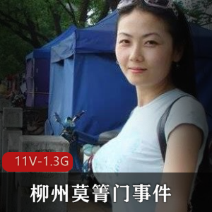 广西柳州莫箐门事件：11V1.3G资源揭秘