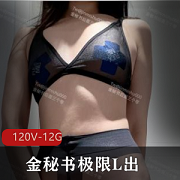 金秘书户外极限合集12G资源,含M狗小视频图集展示