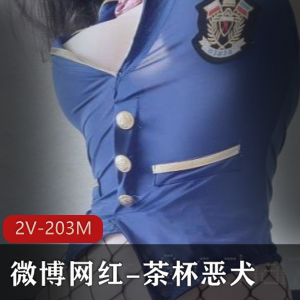 微博网红妹子茶杯恶犬作品2V203M画质散播手机退圈