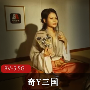 奇Y三国系列作品：舌战群儒，8V，5.5G