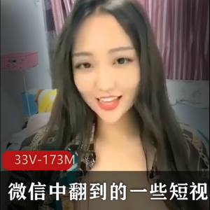 微信小视频资源：33个视频，总计173MB