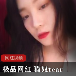 精选网红猫奴的11部作品