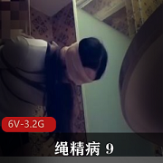 绳精病96V-3.2G
