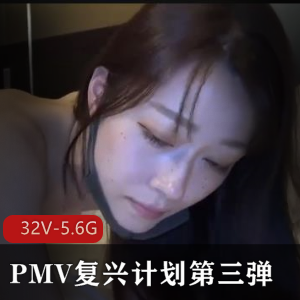 复兴计划第三弹PMV剪辑合集32V5.6G汁水四溅