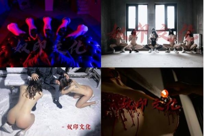 推特奴印文化剧情视频88部50G太顶了