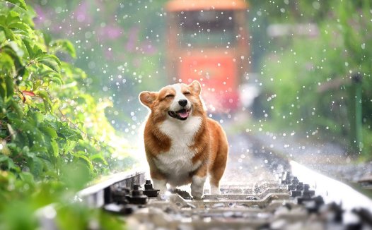 掘怎么读,无聊英文怎么读？