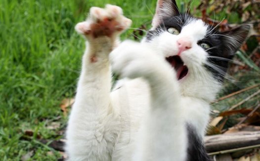 一句话改变叛逆期儿子,面对叛逆期的男孩，父母该怎么办？