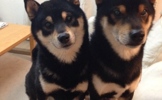 出来混的总是要还的是什么意思？,出来混总是要还的啥意思