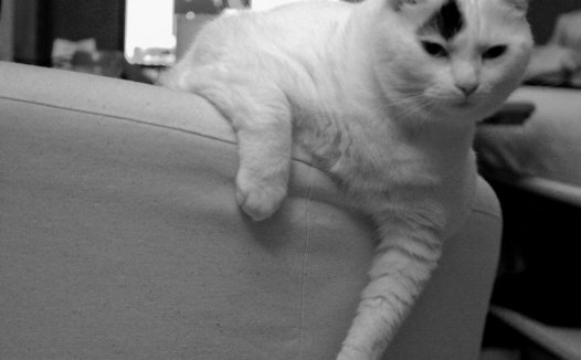 你在哪里英文怎么说,“你来自哪里”英文怎么写?