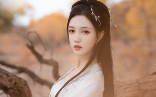 京剧生旦净末丑介绍,生旦净末丑净指的是什么？