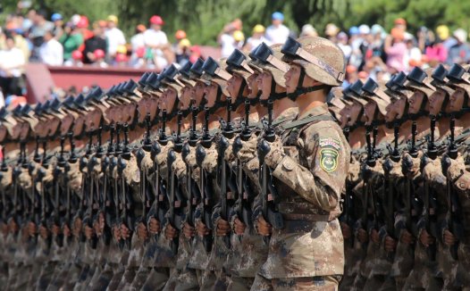 toy什么意思,toyanimals什么意思？