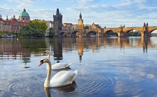 shmily是什么意思,shmily是什么意思？