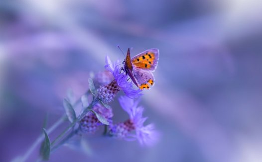 不仅和什么关联词搭配,不但什么而且什么是什么关联词