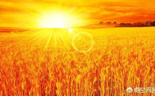 光的速度大约是每秒30万千米,太阳光到达地球，需要几秒？