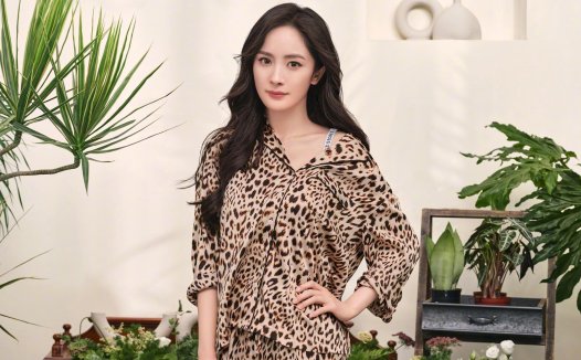 other怎么读,other  the other