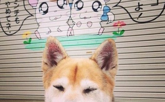 孟文禄原型是谁人,海上孟府孟文禄有原型吗？