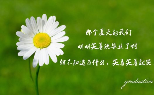 声音拼音,声音的拼音是什么？